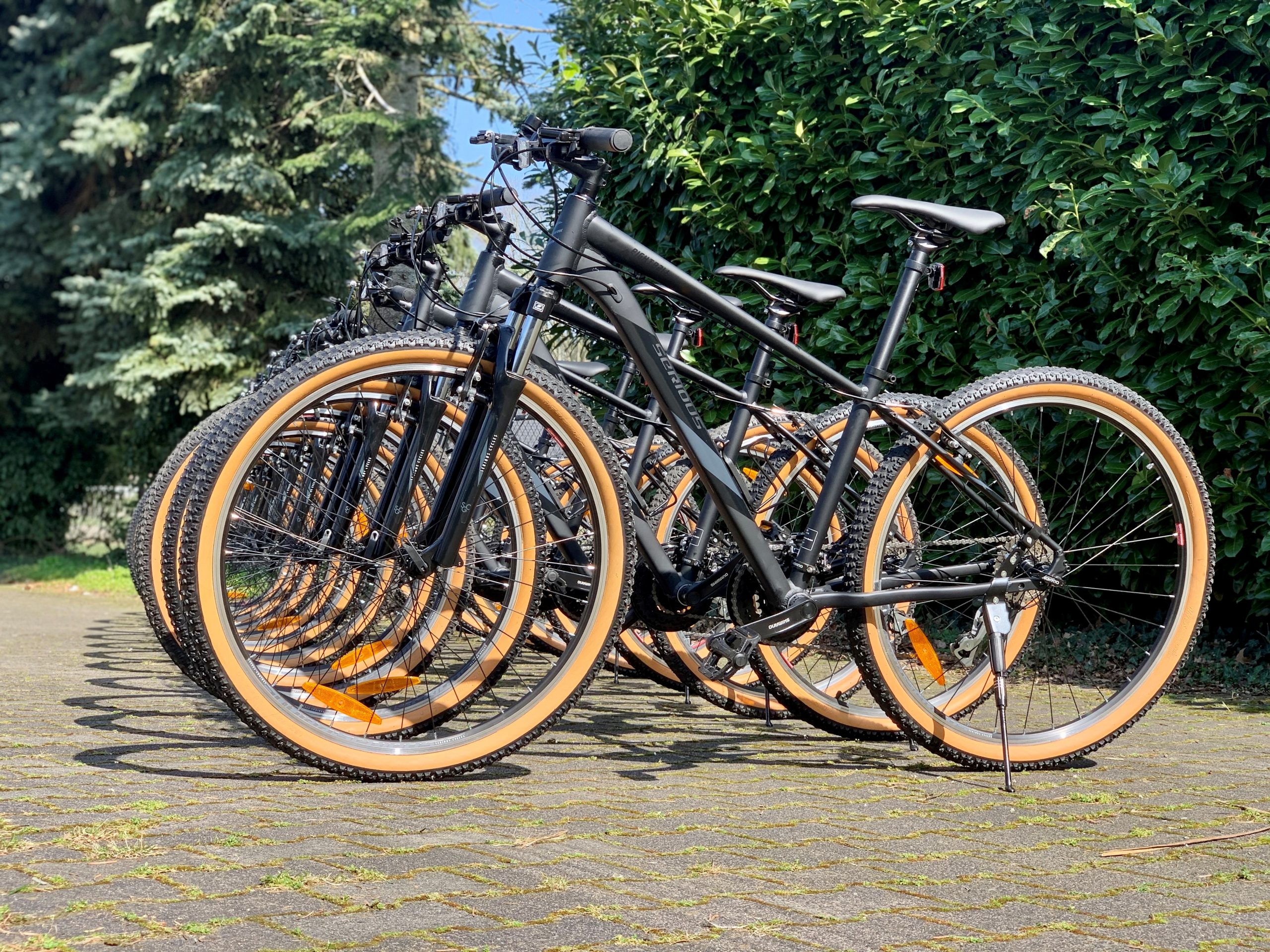 Mountainbike huren Achterhoek